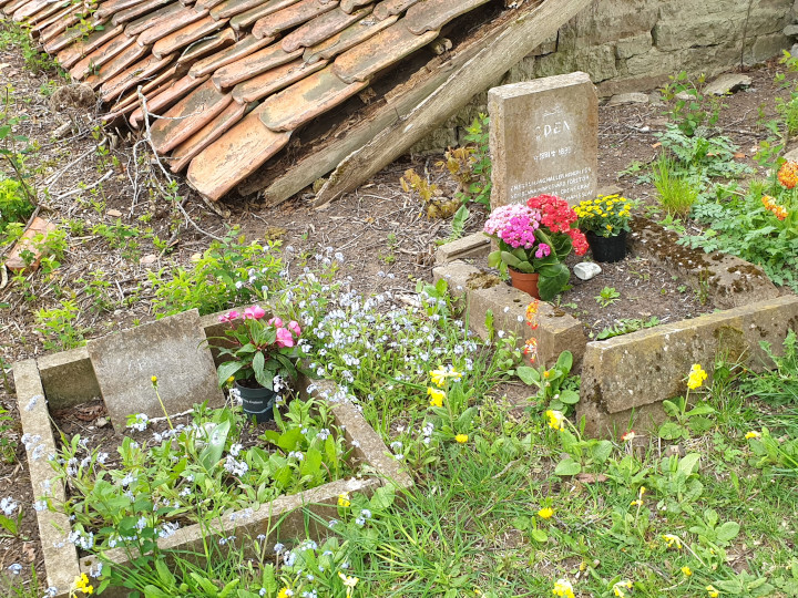 Dog graves in Borghamn