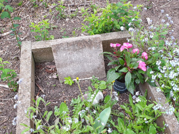 Zenta's grave