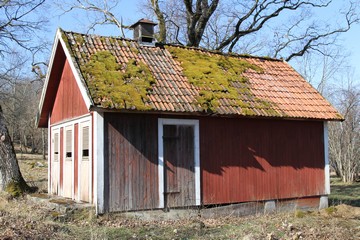 Outhouse/firewood shed. Photo: Bernd Beckmann