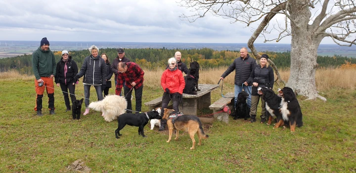 Omberg's dog walks. Photo: Bernd Beckmann