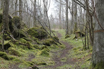 Trail at Borggården. Photo: Bernd Beckmann