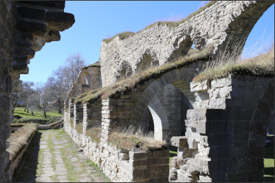 Alvastra monastery ruin